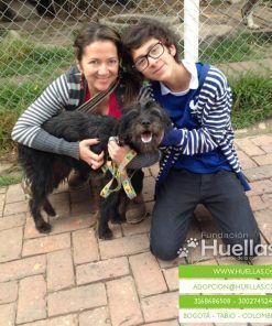 Baruck - Adoptado
