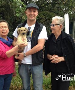 Alfalfa -Adoptado
