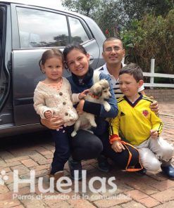 Corchito  -Adoptado