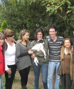 Dominio -Adoptado