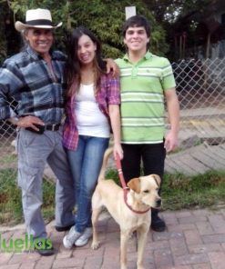 Jonas - Adoptado