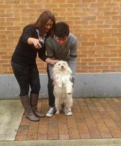 Juanita -Adoptado