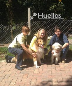 Lucas-Adoptado