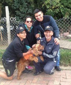 Magoo-Adoptado