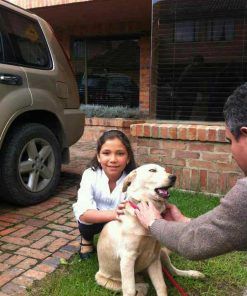 Lupe -Adoptado